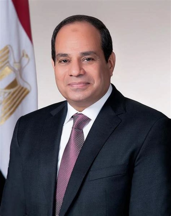 Abdel Fattah el-Sisi as seen in an official portrait in 2017