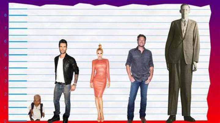 adam levine height