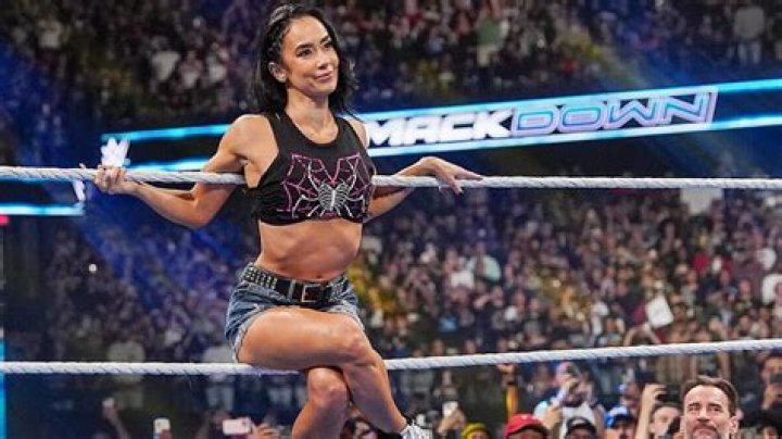 AJ Lee boobs