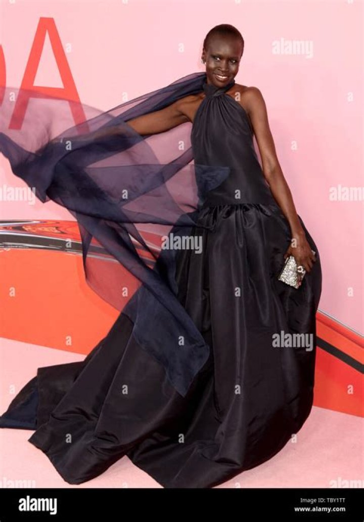Alek Wek at the CFDA Fashion Awards in June 2015 in New York City