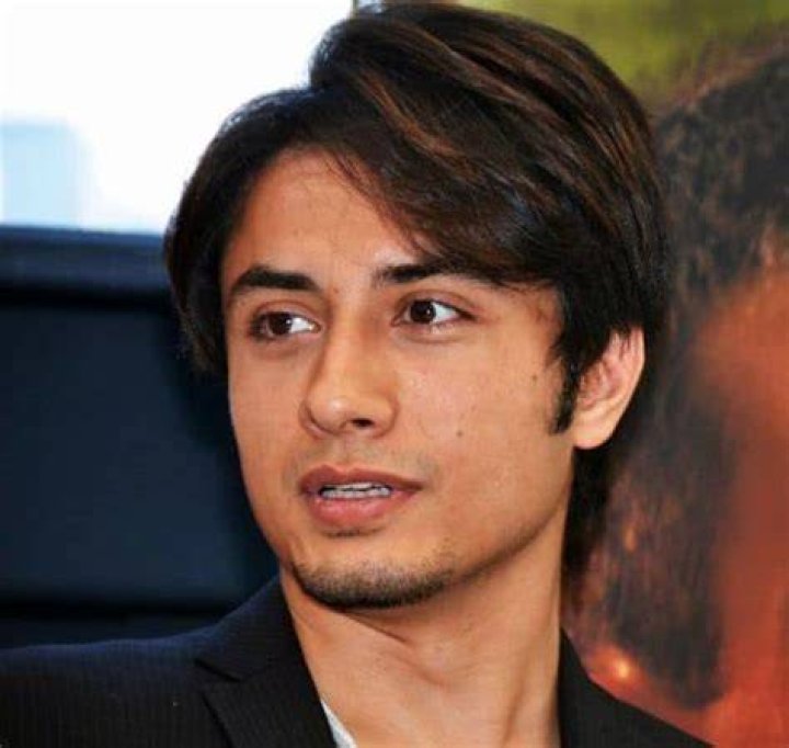 Ali Zafar at Indian Film Festival 2011