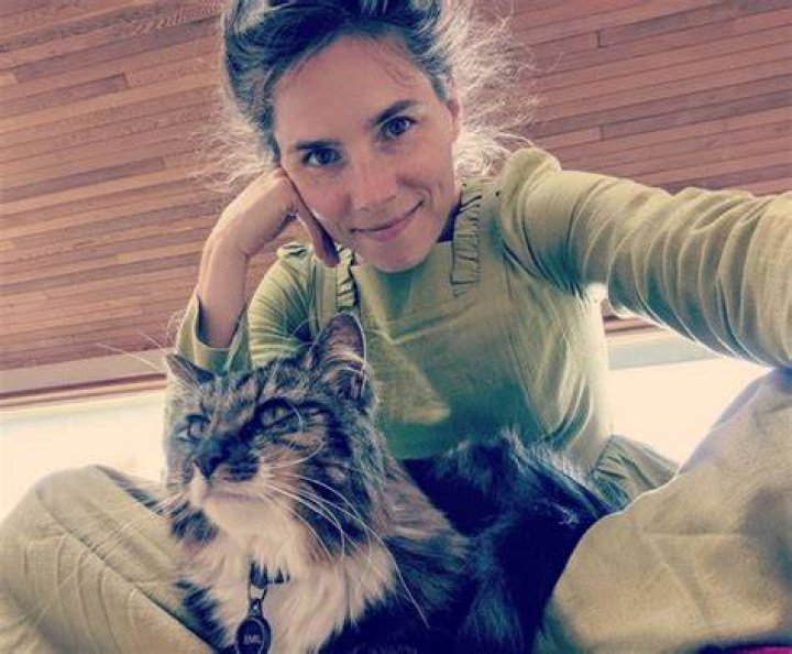 Amanda Knox taking a selfie with her cat in June 2019