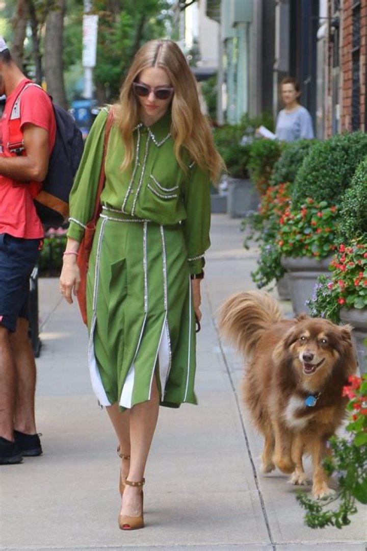 Amanda Seyfried out with her dog Finn in May 2017