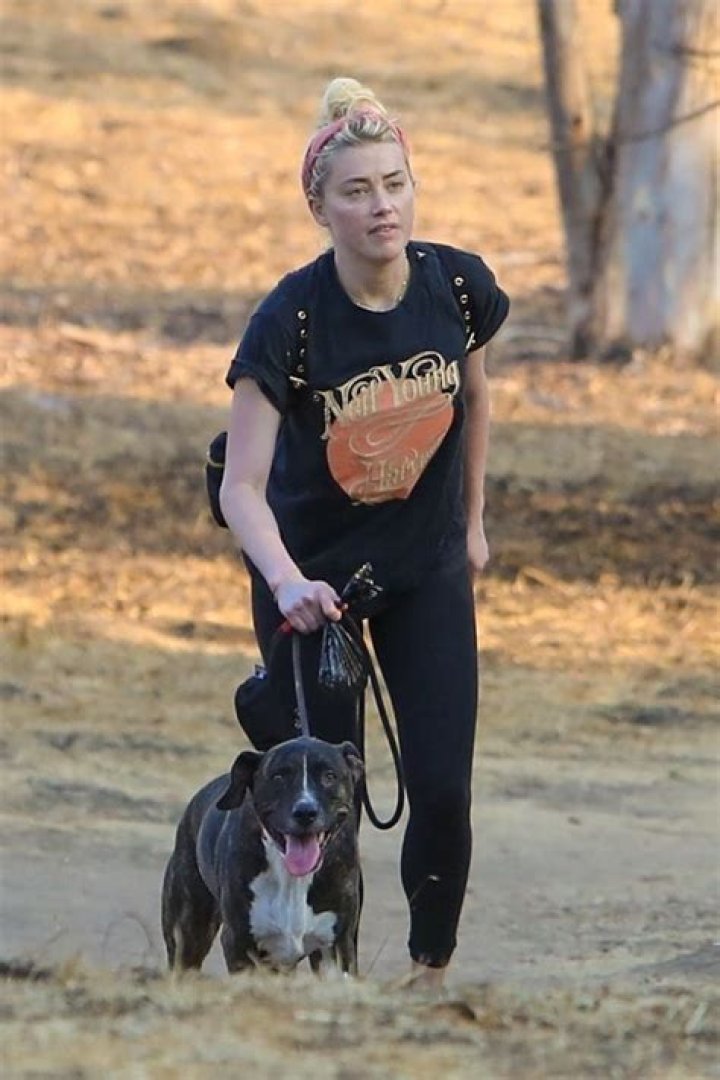 Amber Heard with her dog Pistol Amber Heard with her dog Pistol