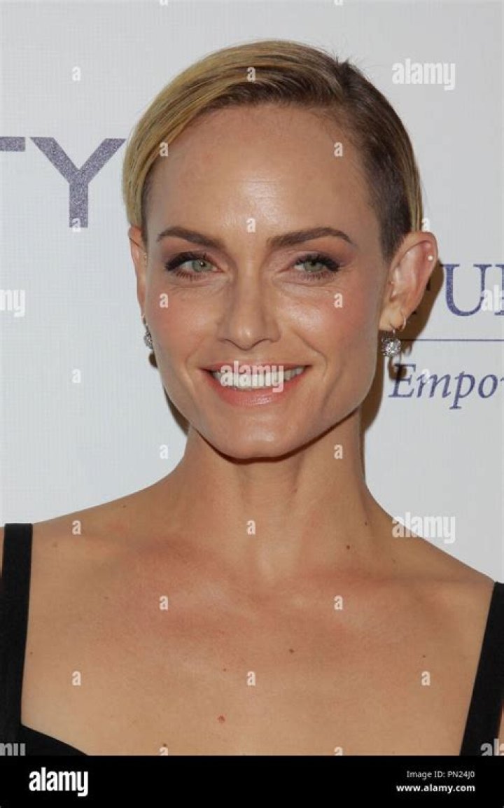 Amber Valletta at the 20th Annual Fulfillment Fund Stars Benefit Gala at The Beverly Hilton Hotel on October 14, 2014 in Beverly Hills, California