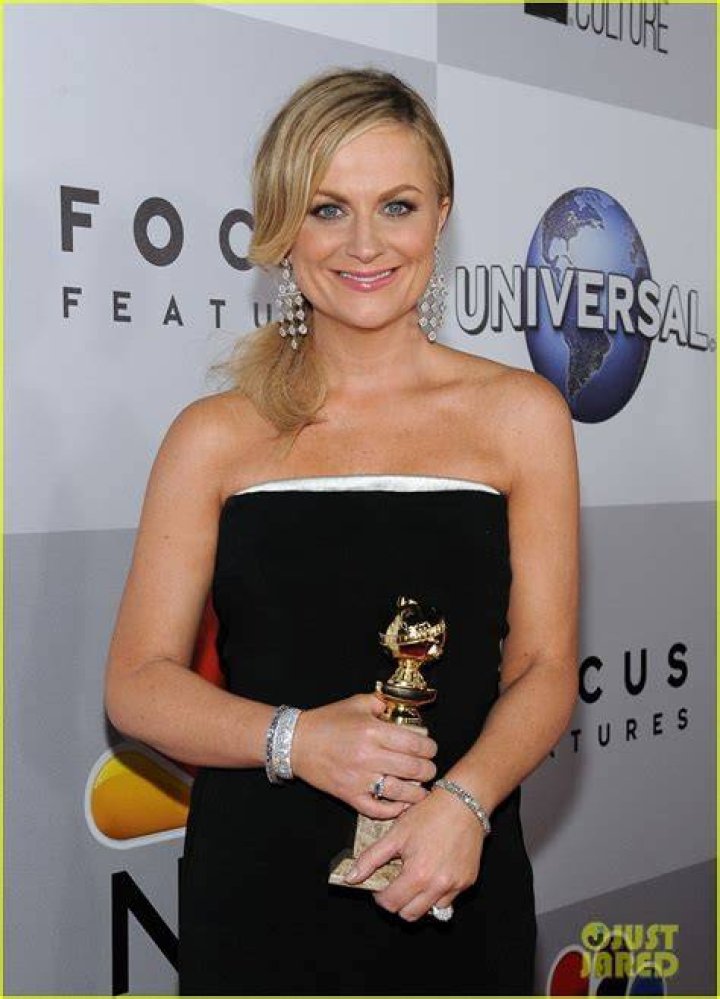 Amy Poehler during 2014 Golden Globes