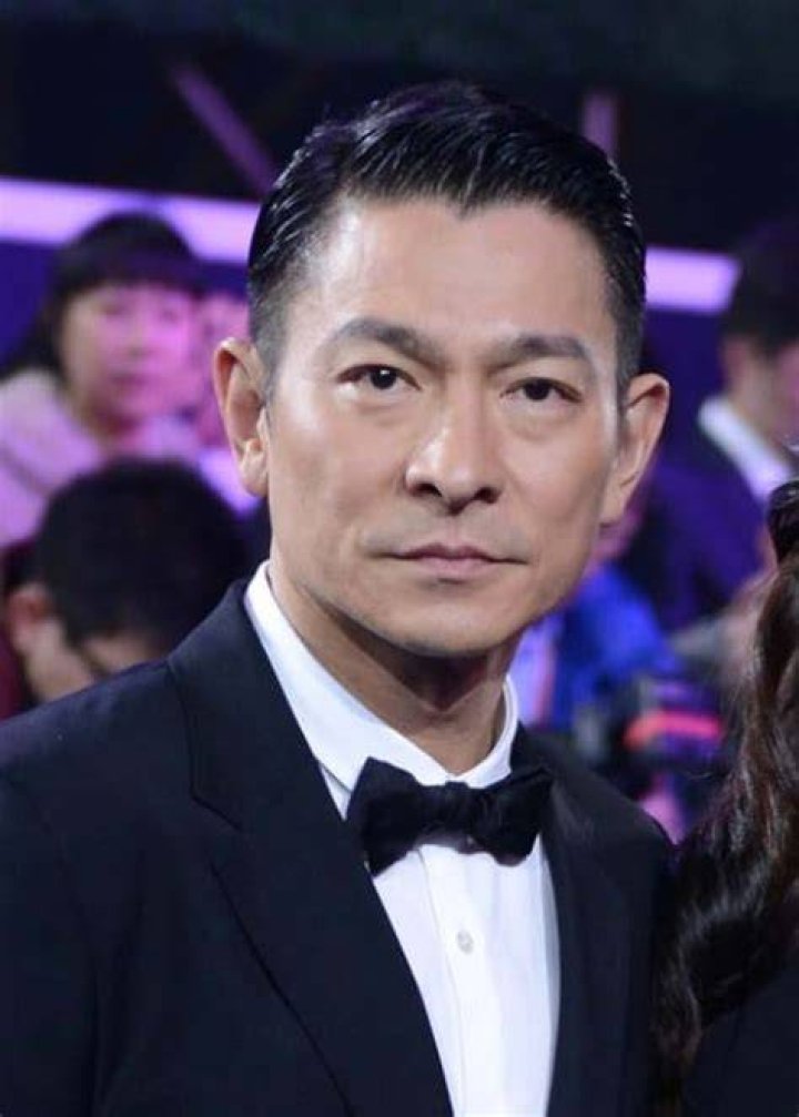 Andy Lau as seen at the 2013 Beijing International Film Festival