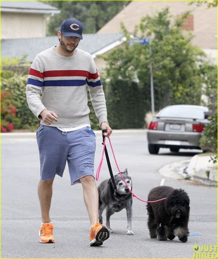 Ashton Kutcher takes his dog for a stroll