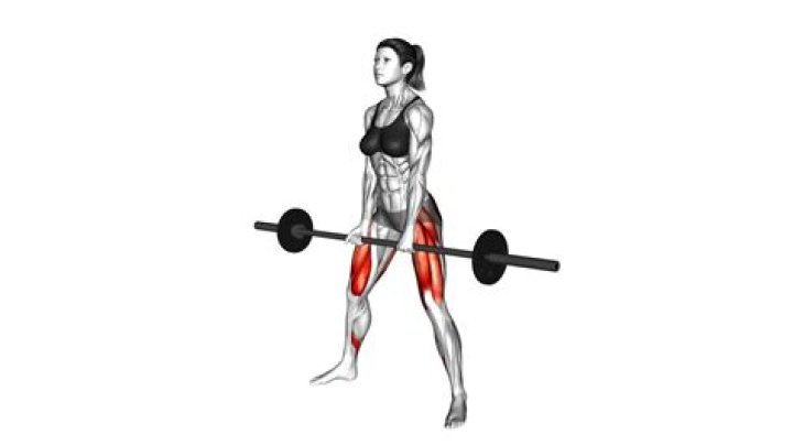 Barbell Exercise Female