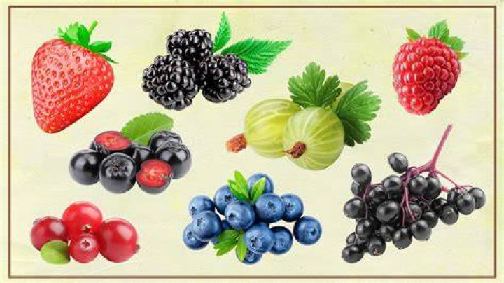 Berries
