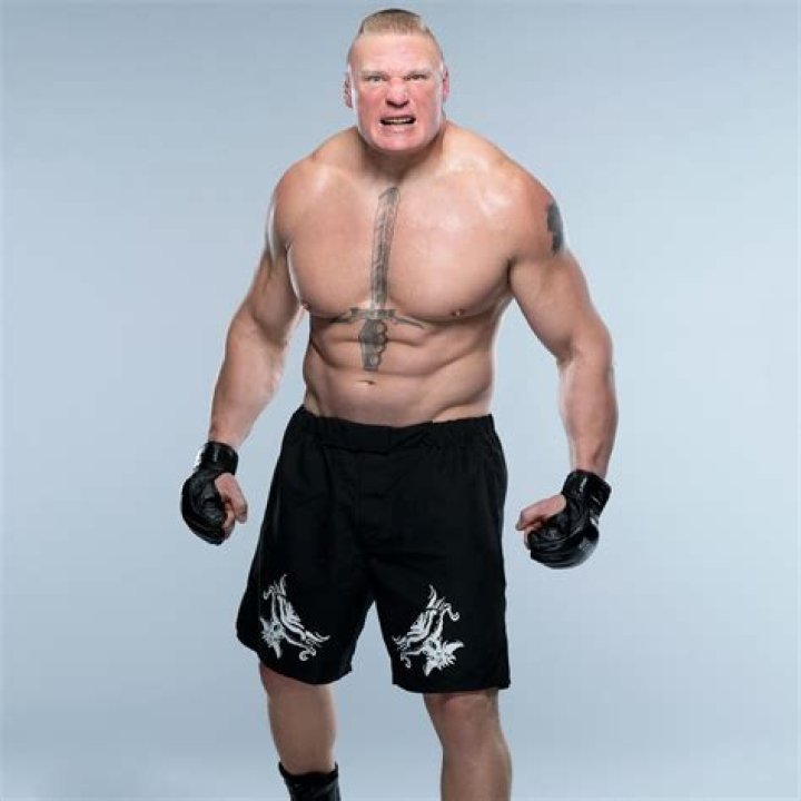 Brock Lesnar body