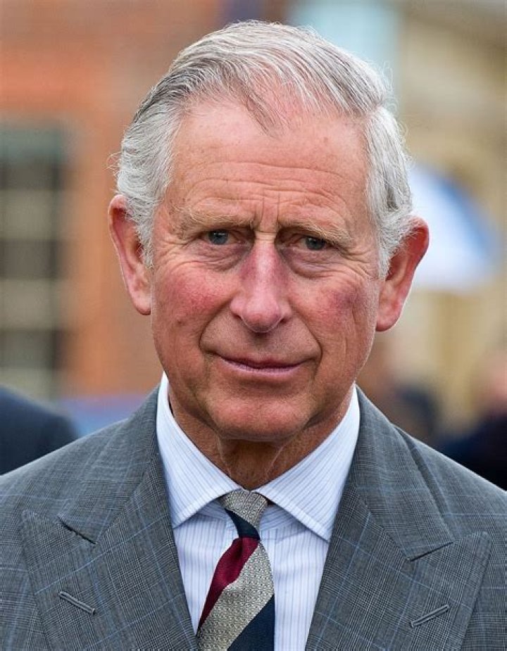 Charles, Prince of Wales as seen while speaking at the 2015 United Nation Climate Change Conference