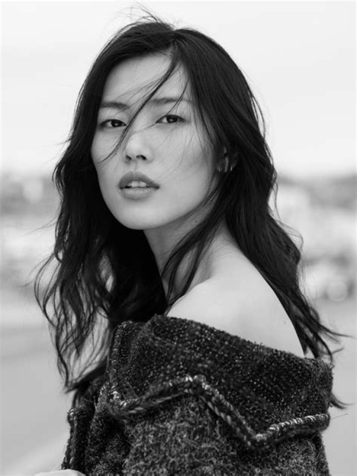 Chinese Model Liu Wen