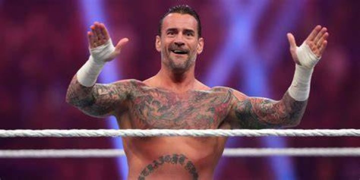 CM Punk Wrestler WWE