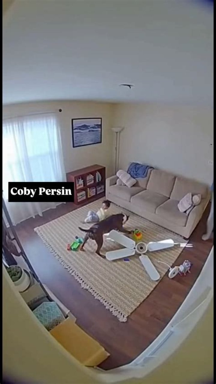 Coby Persin with his dog as seen in March 2019