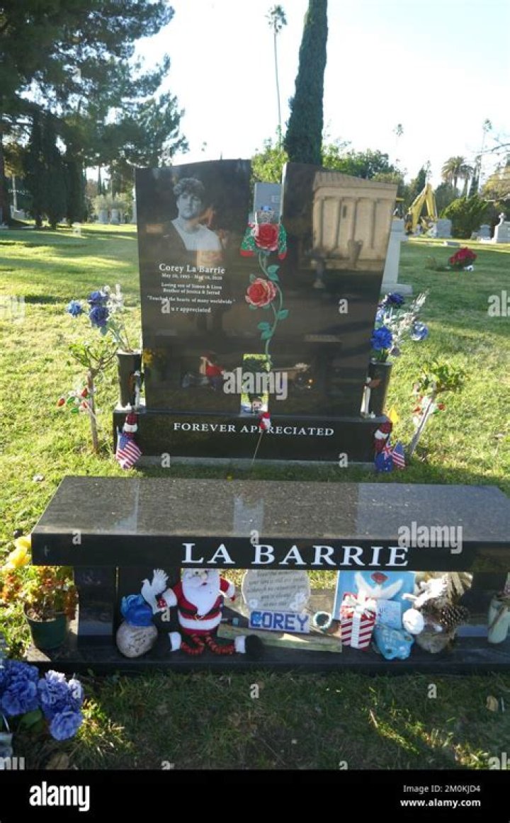 Corey La Barrie in December 2016 sharing the selfie that he admittedly loves