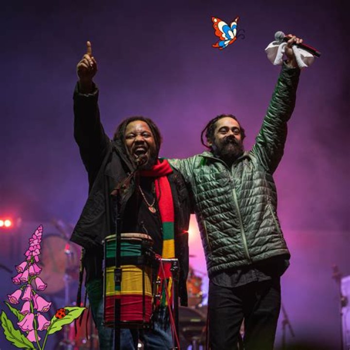 Damian Marley singing at Castillo Marroquín, Bogotá in November 2011