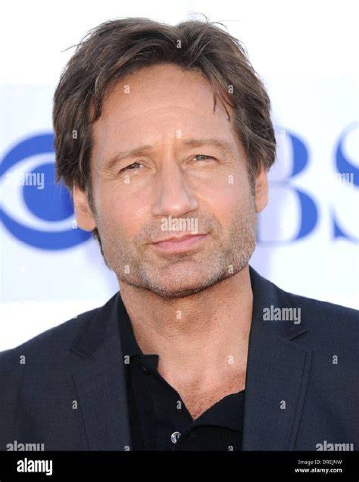 David Duchovny at the CBS and Showtime 2013 Summer TCA Party