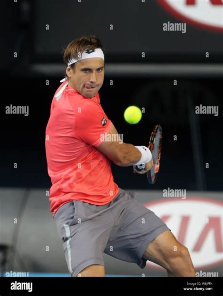 David Ferrer of Spain returns the ball against Tomas Berdych of Czech Republic during the final of the Qatar Open at the Khalifa tennis complex in Doha in 2015
