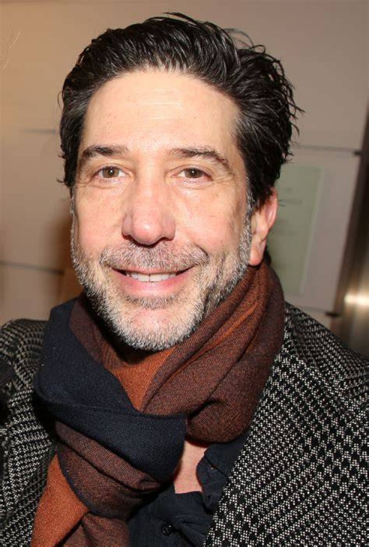 David Schwimmer at the 2017 Golden Globe Awards