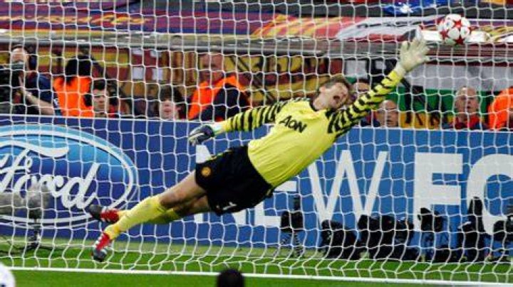 Edwin van der Sar as seen in 2015