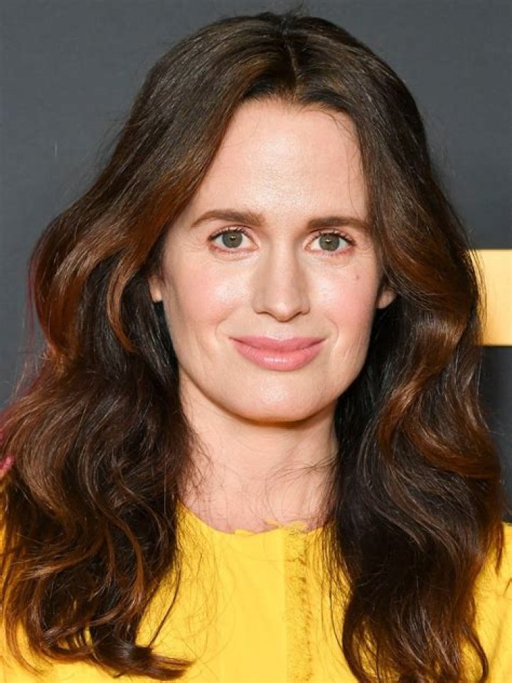 Elizabeth Reaser at "The People v O.J. Simpson: American Crime Story" premiere in January 2016