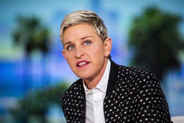 Ellen DeGeneres appears during the 'One Big Happy' panel discussion at the Langham Hotel on January 16, 2015 in Pasadena, California
