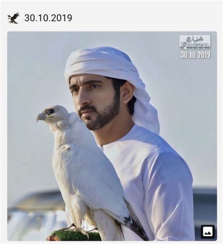 Fazza with a Falcon in November 14 2017