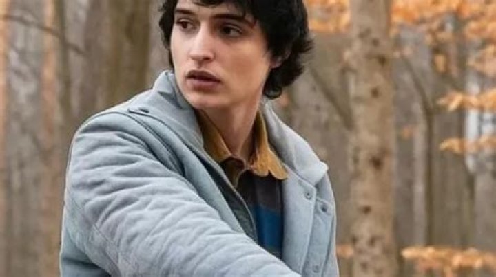 Finn Wolfhard was seen at LAX in January 2017