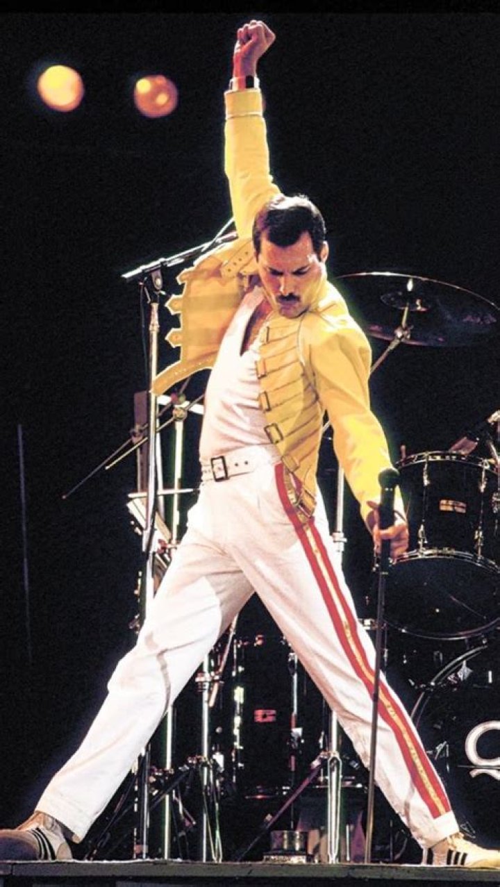 Freddie Mercury poses for a modeling photoshoot