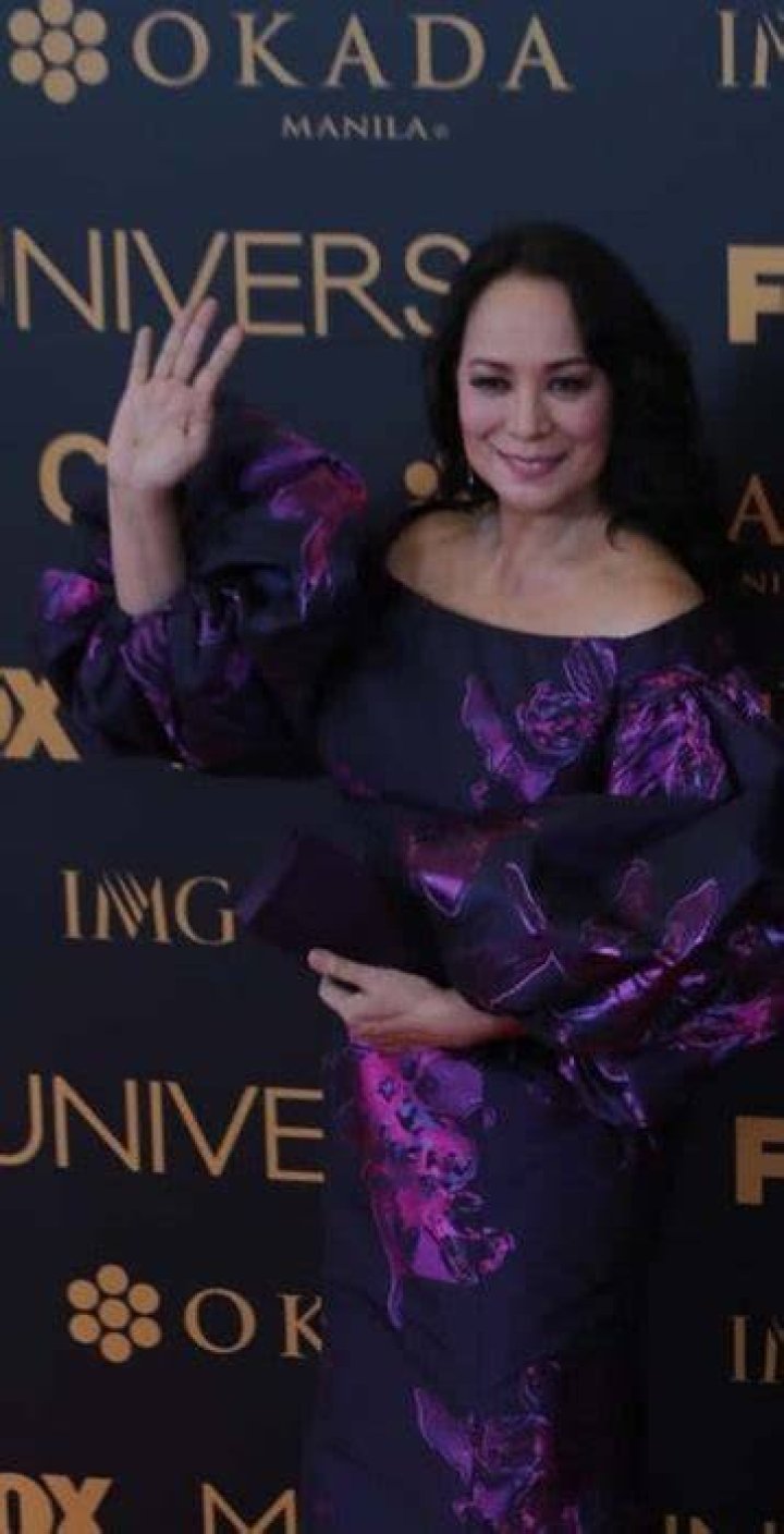 Gloria Diaz as seen at the Miss Universe Red Carpet event at the SMX Convention Center in Pasay in 2017