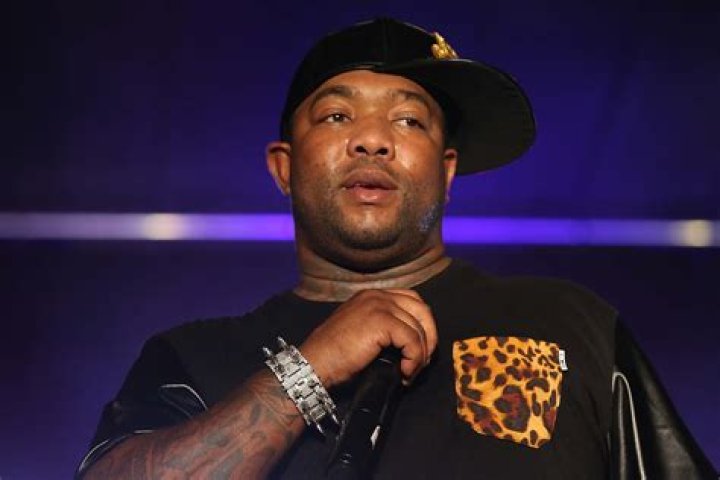 Gorilla Zoe in 2014