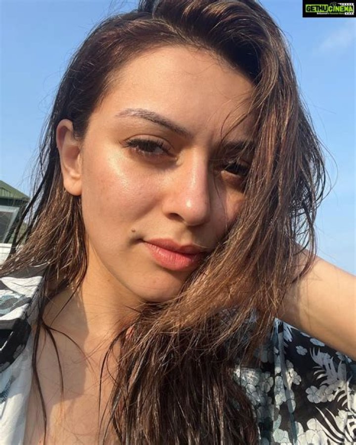Hansika Motwani in an Instagram selfie as seen in December 2019