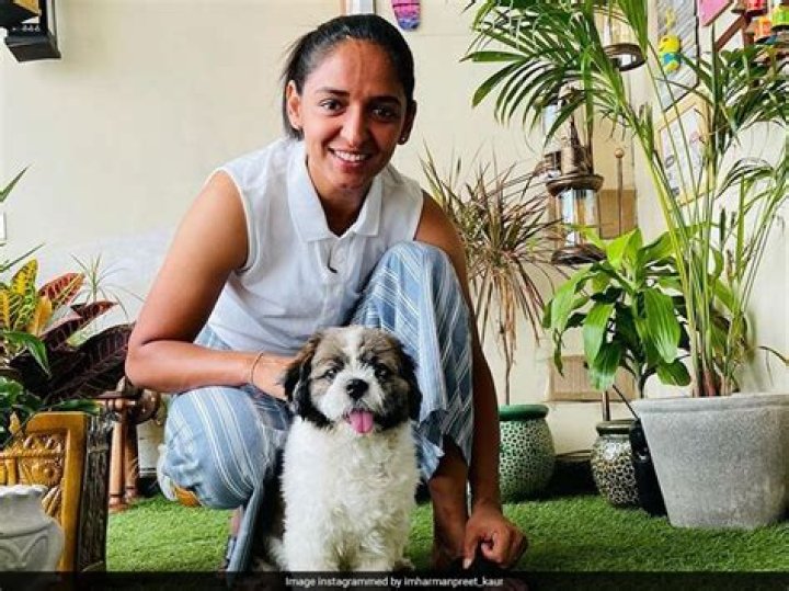 Harmanpreet Kaur with her dog as seen in January 2019