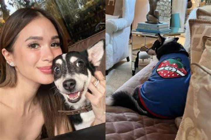 Heart Evangelista with her pet dog, as seen in February 2020
