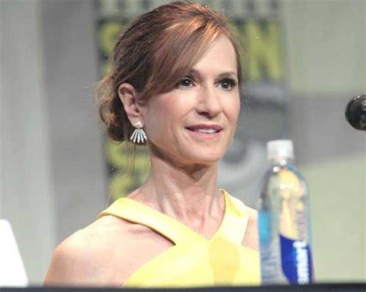 Holly Hunter pictured while speaking at the 2015 San Diego Comic Con International, for 'Batman v Superman Dawn of Justice', at the San Diego Convention Center in San Diego, California