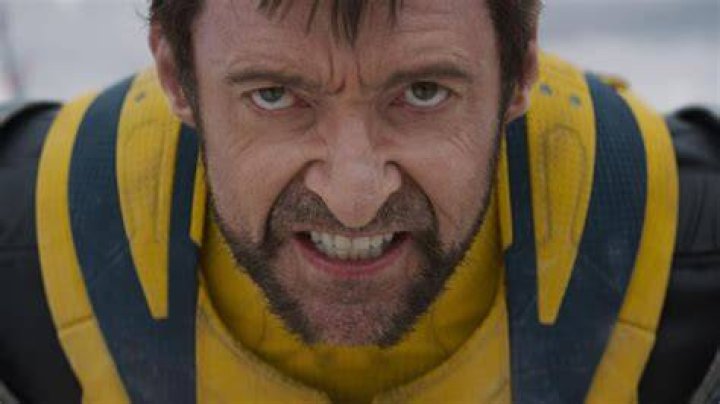 Hugh Jackman as Wolverine