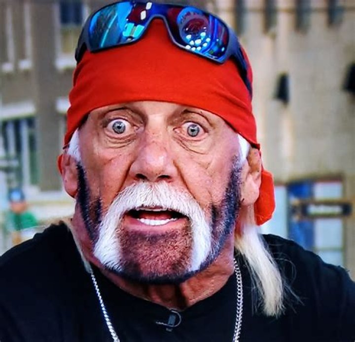 Hulk Hogan as seen in August 2005