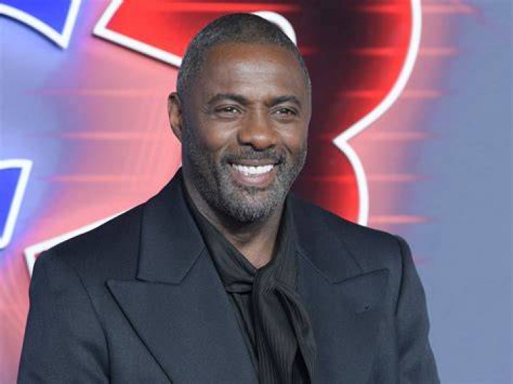 Idris Elba during the 'Defeating Ebola in Sierra Leone' conference in 2014