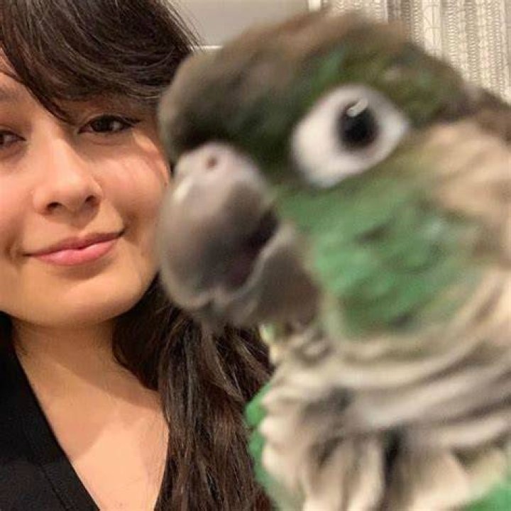 Jaiden Animations with her parrot as seen in December 2018