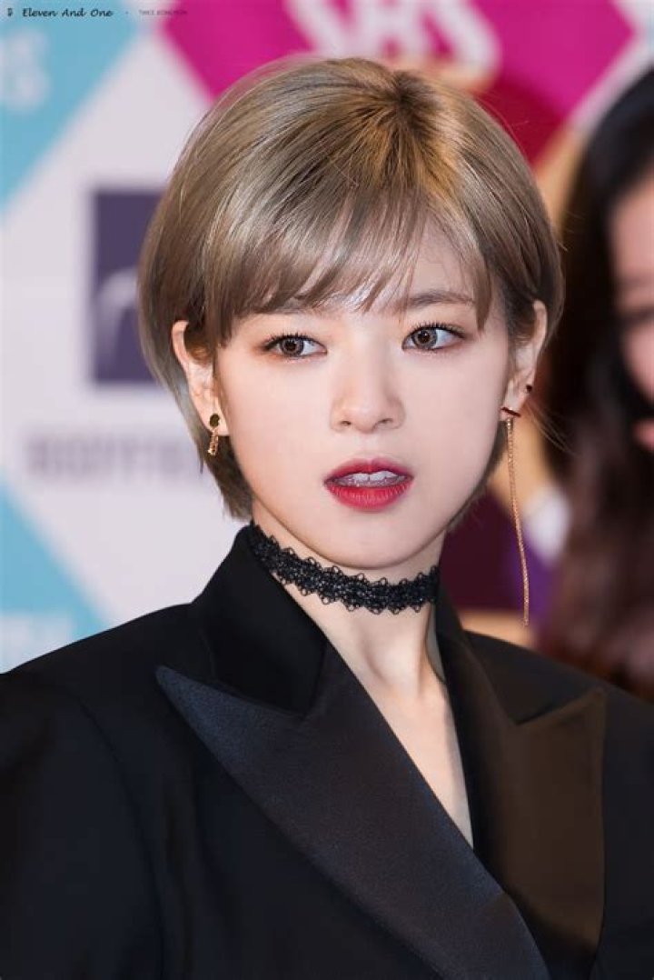 Jeongyeon as seen at Twice Sudden Attack Fan Meeting in March 2017