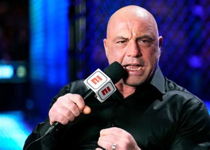 Joe Rogan as seen in November 2018