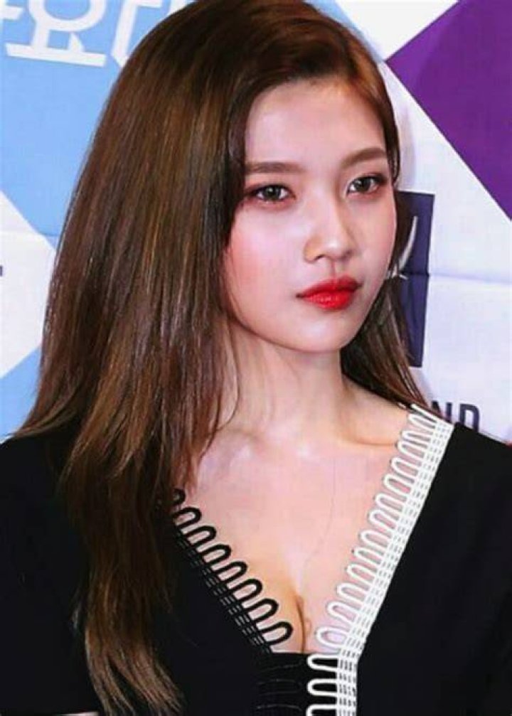 Joy at the Coex D Hall in December 2016