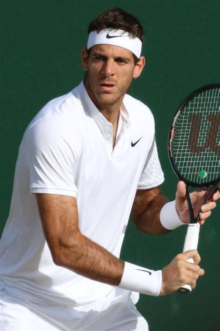 Juan Martín del Potro during a match in December 2012