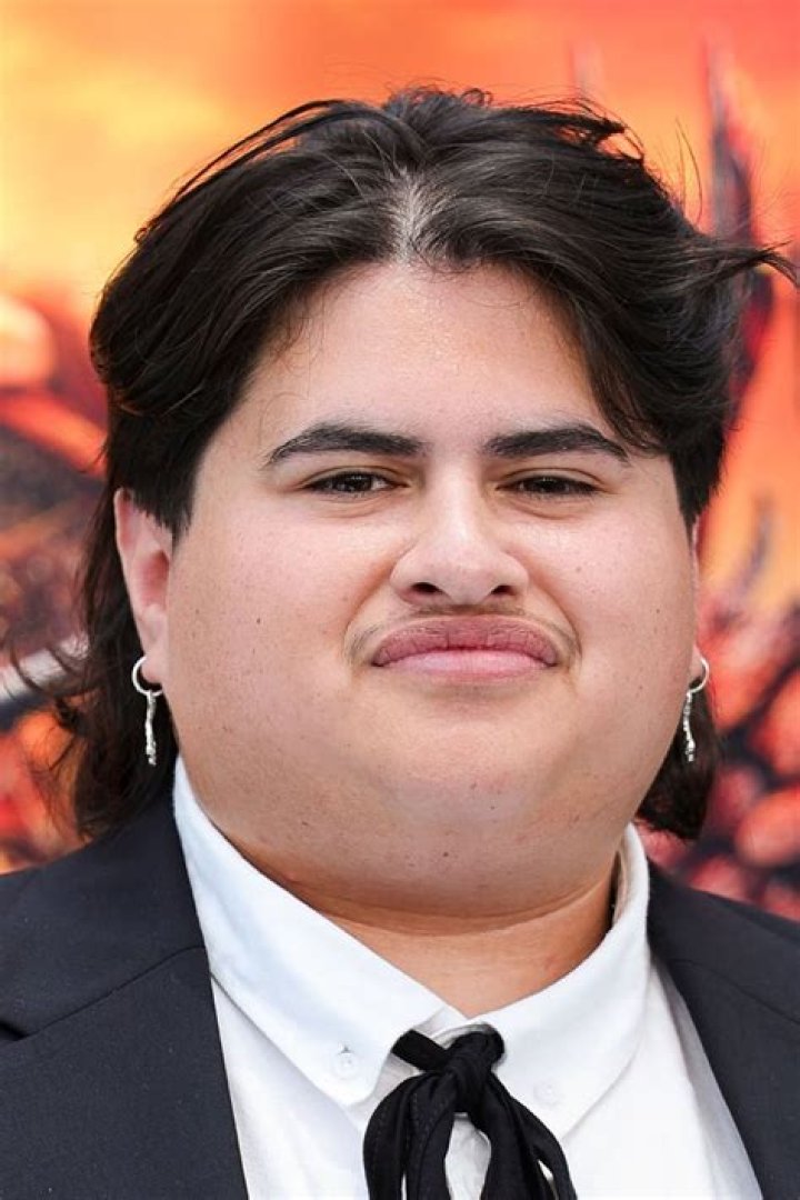 Julian Dennison as seen in a still from the movie, Paper Planes, in November 2013
