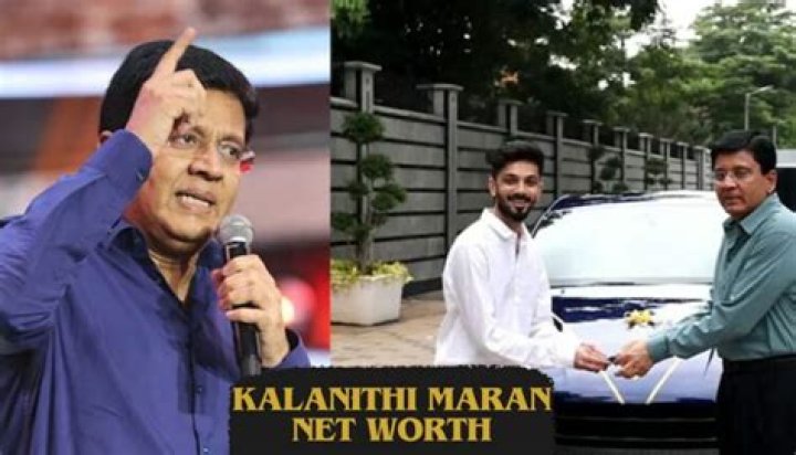 Kalanithi Maran as seen in a picture that was taken in March 2022