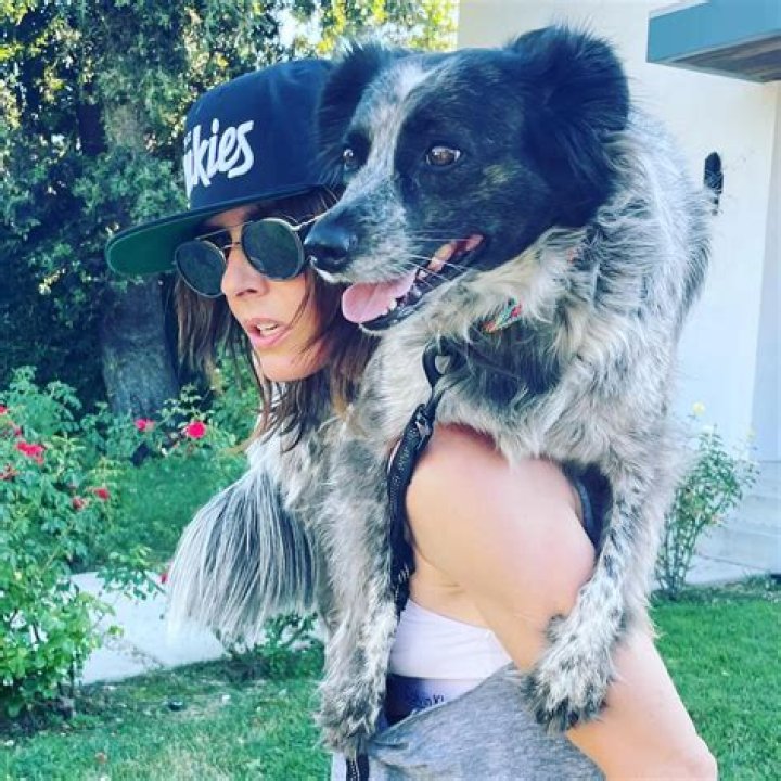 Katherine Moennig with her pets as seen in August 2016
