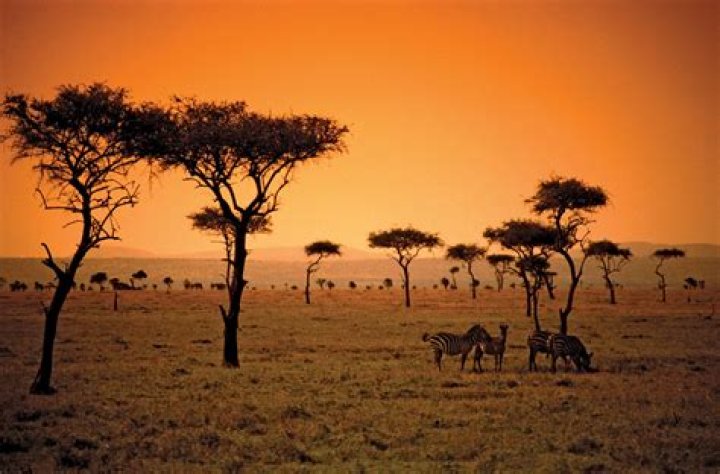 Kenyan Kenyan