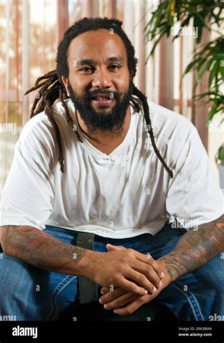 Ky-Mani Marley at the 2014 Vieilles Charrues festival