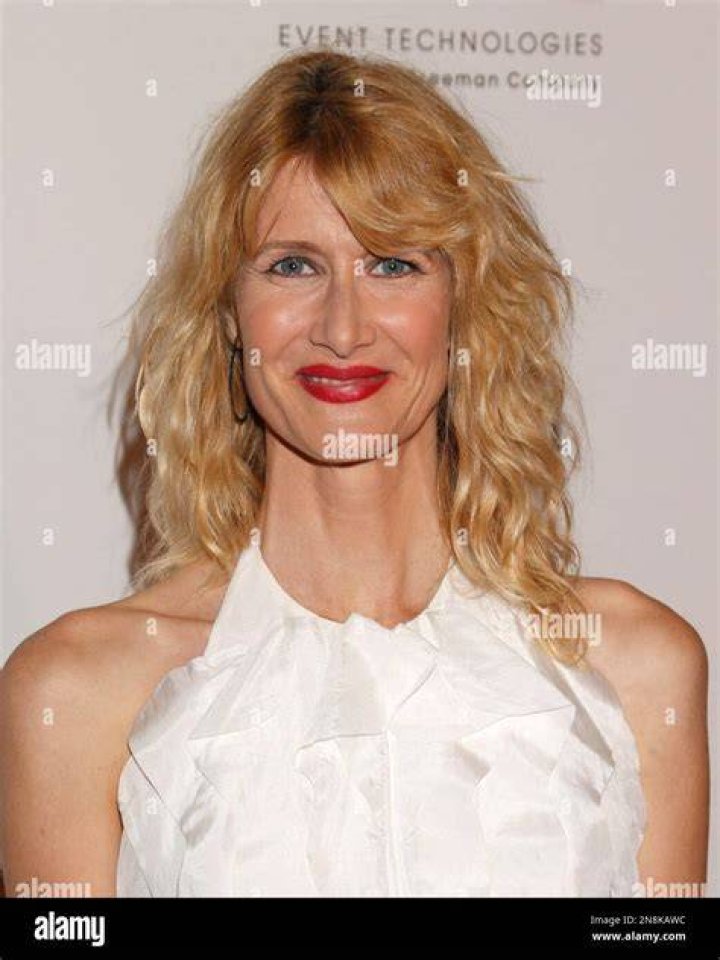 Laura Dern attends the 26th Annual Palm Springs International Film Festival Film Festival Awards Gala at Parker Palm Springs on January 3, 2015.